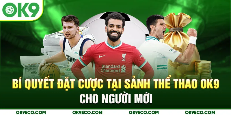 Bí quyết đặt cược tại sảnh thể thao Ok9 cho người mới