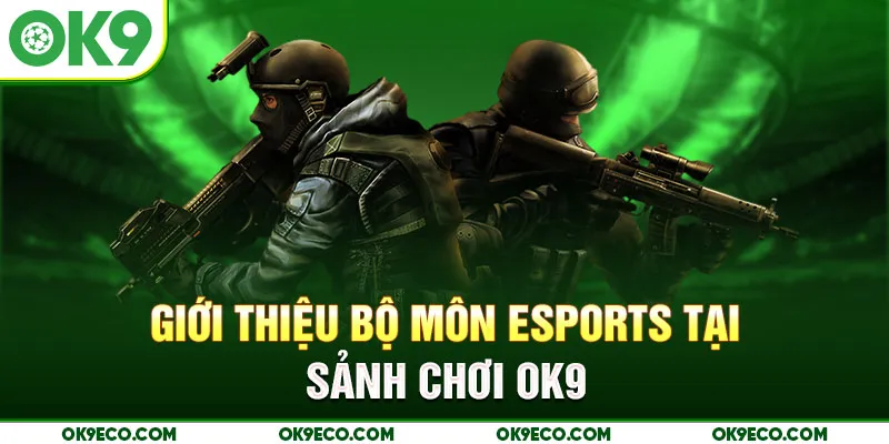 Giới thiệu bộ môn Esports tại sảnh chơi OK9