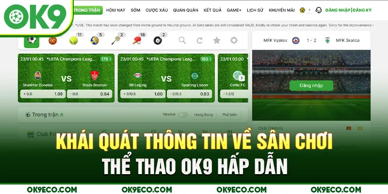Khái quát thông tin về sân chơi thể thao OK9 hấp dẫn